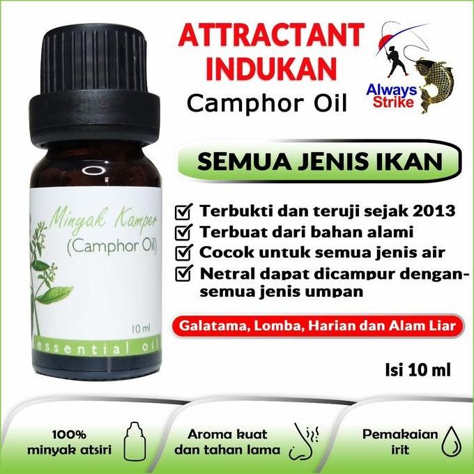 always strike minyak kamper booster umpan mancing ikan mas stok terbatas