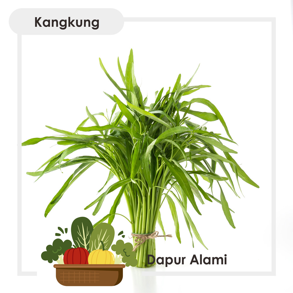 

Kangkung Per Ikat ~ Sayur Jogja
