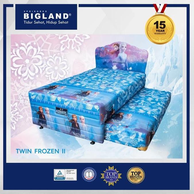 Bigland Springbed Twin Frozen