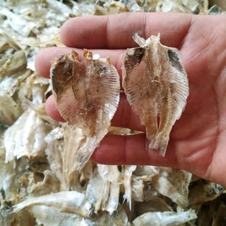 

Sdn_12 Ikan Asin Kalapan/Kapasan Harga Terjangkau Dan Berkualitas Jy-56