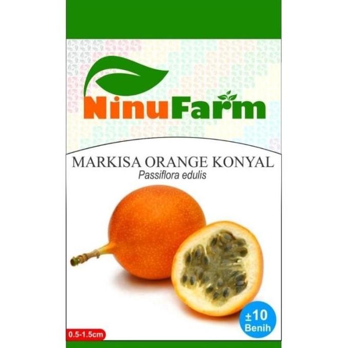 PREMIUM MARKISA ORANGE / Bibit BUAH MARKISA KONYAL The