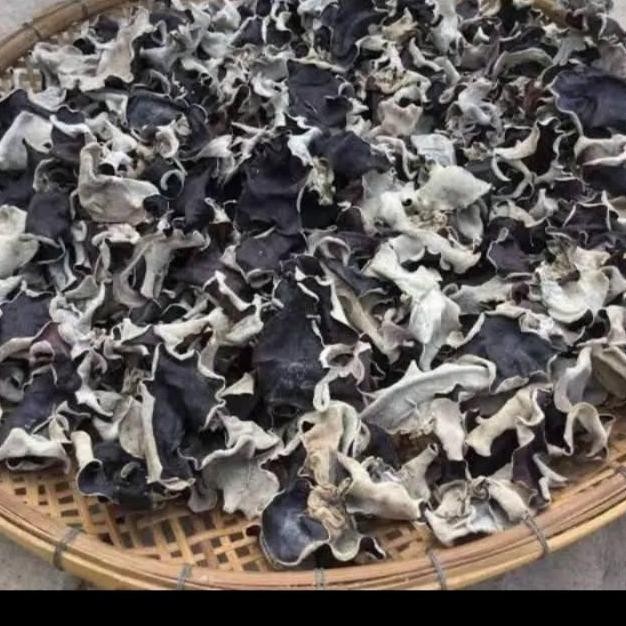 

Jamur Kuping Kering Premium Kemasan 1 Kg Kualitas Terbaik Harga Termurah