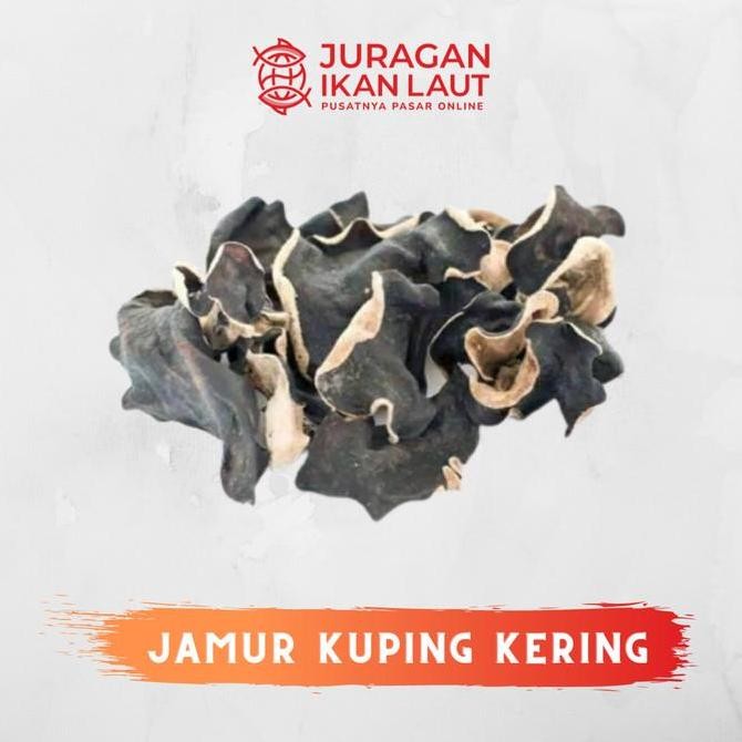 

Jamur Kuping Kering Berkualitas - 1 Kilogram Kualitas Terbaik Harga Termurah