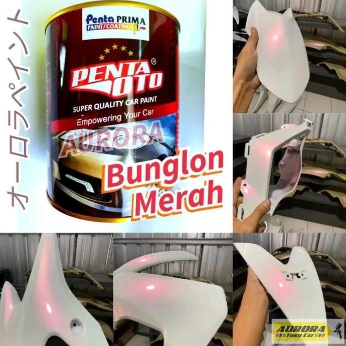 BEBAS ONGKIR - CAT BUNGLON RED XIRALIC RED BUNGLON MERAH ECER 100ML