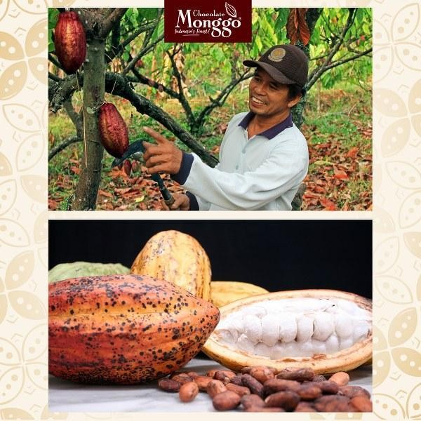 

CCF Chocolate Monggo | Oleh Oleh Bali Rarung Cokelat Box 5 Rasa | Souvenir Chocolate