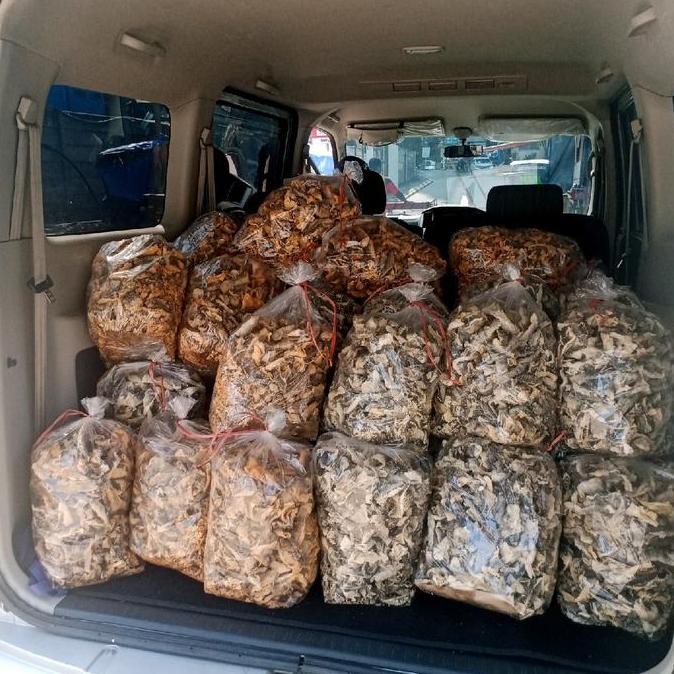 

Keripik Kulit Ikan Patin Original 500 Gr.Kerupuk Kulit Ikan Patin,Gurih Pasti Promo