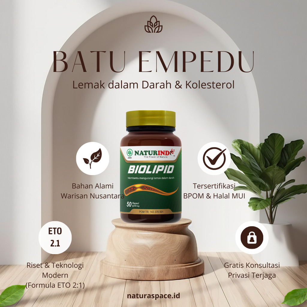 

Obat Batu Empedu Peluruh Penghancur Batu Empedu Tanpa Operasi Lemak Dalam Darah Kolesterol Herbal