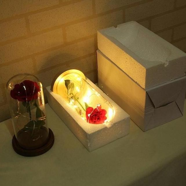 Bunga Mawar Couple Princess Romantic Lampu Led Rose In Glass Dome Flower Dekorasi Rumah Hiasan Kamar