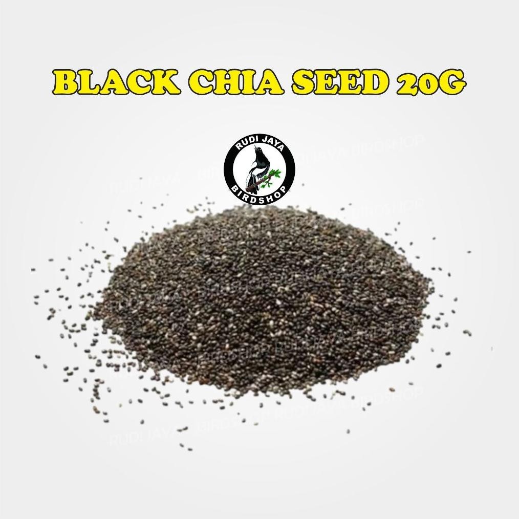 

Hot Sale Fx-23 Biji Black Chia Seed 50 Gram Kaya Omega 3 Antioksidan Tinggi Pakan Makanan Burung Kenari Finch Original