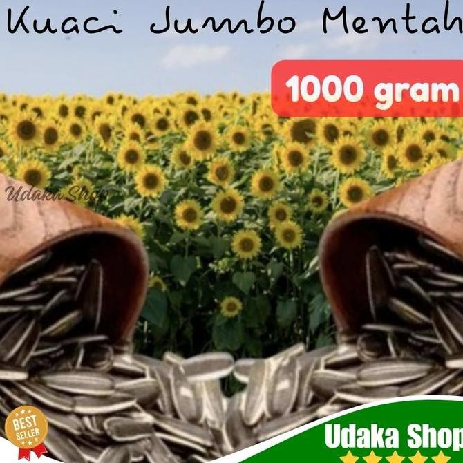 

TERLARIS - Makanan - KUACI JUMBO MENTAH