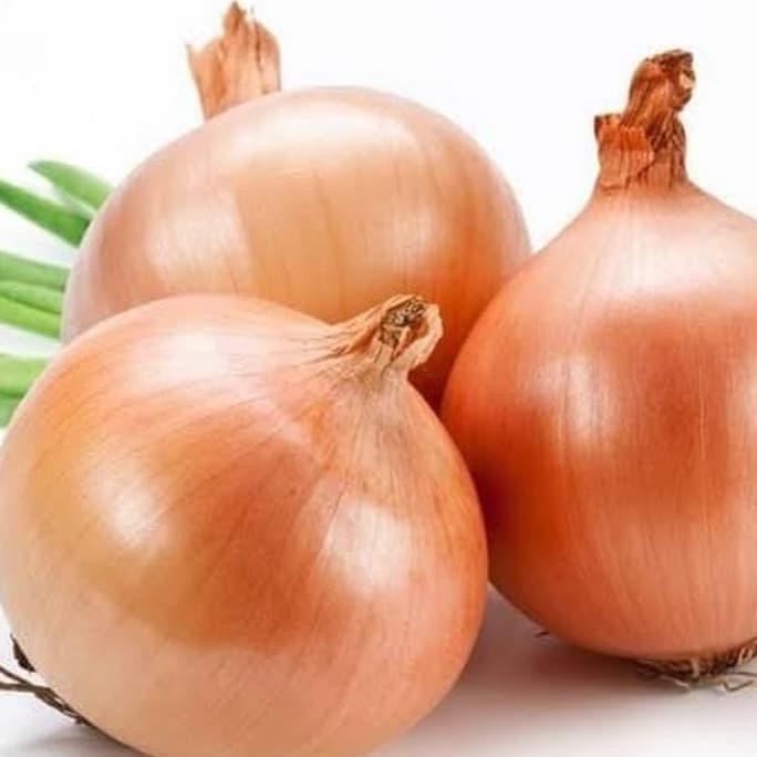 

JH8 Bawang Bombay Besar (60/80) - 1kg