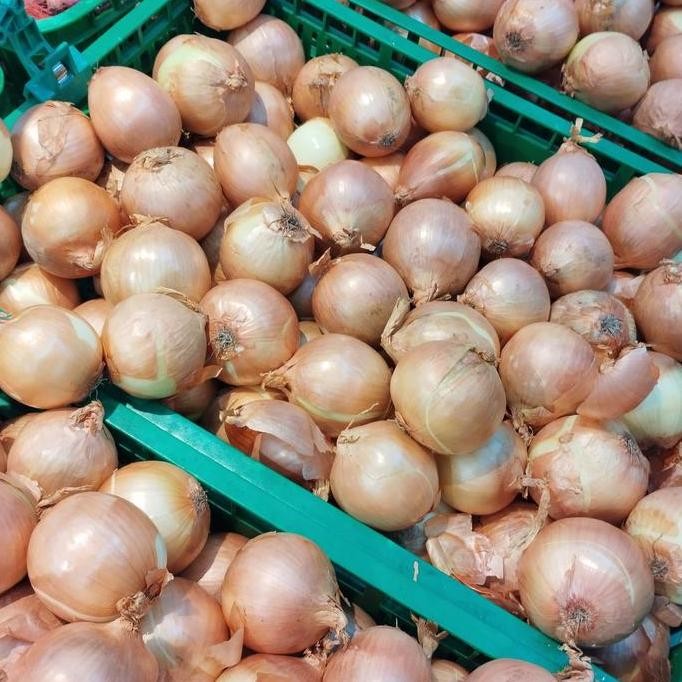 

JH8 TERMAHAL 1 Kg Bawang Bombay Import , segar setiap hari