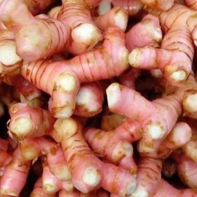 

JH8 JAHE PUTIH | KUNYIT | LENGKUAS | KENCUR - BUMBU DAPUR