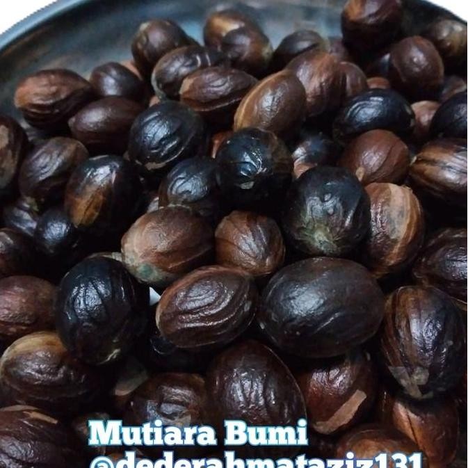 

JH8 Biji Pala kering 1kg untuk bumbu