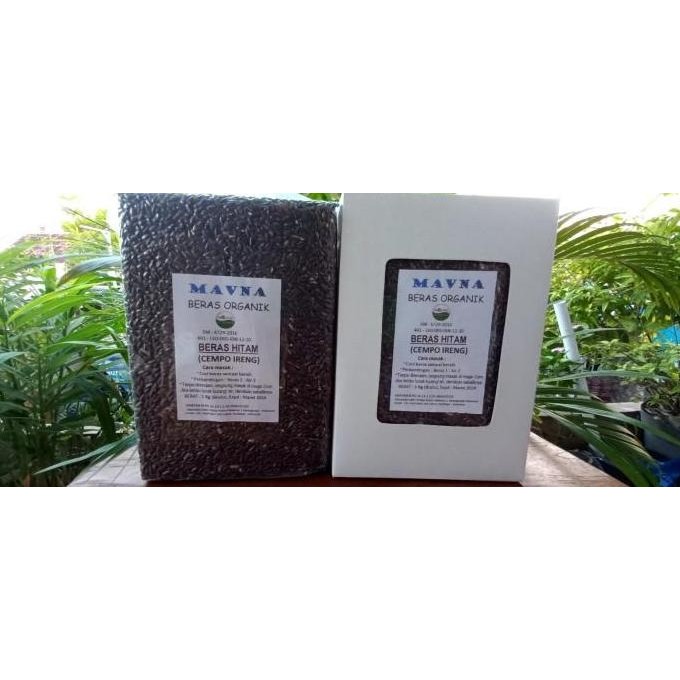 

(Expert) Beras Hitam Organik Cempo Ireng untuk diet, diabetes, jantung