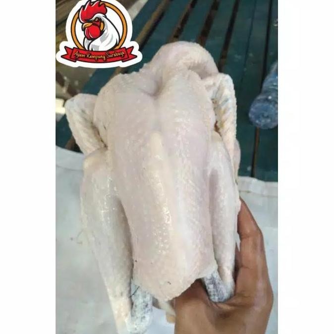 

JH8 AYAM KAMPUNG SMALL 600-650 gr