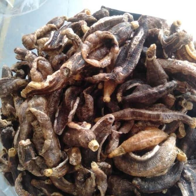 

Kerupuk Teripang Hitam Matang - 100gr / Krupuk Keripik Tripang Terung Timun Laut Blonyo Gurih Renyah Murah / Oleh - Oleh Khas Kenjeran Snack Kripik Cemilan Camilan Kering