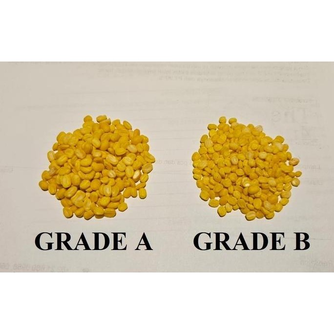 

1kg Kacang Hijau Ijo Kupas / Mung Dal / Moong Dal [Premium Quality]