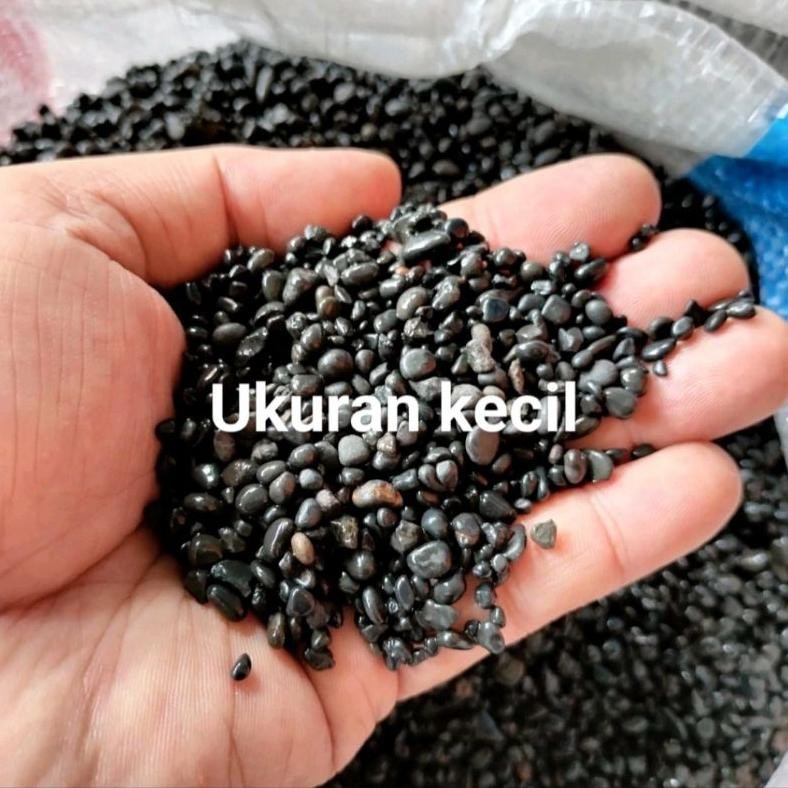 Bisa Cod Batu Alam Hitam 1 Kg Ukuran Kecil, Batu Koral Hitam Abu Hiasan Taman Dan Halaman Rumah, Bat