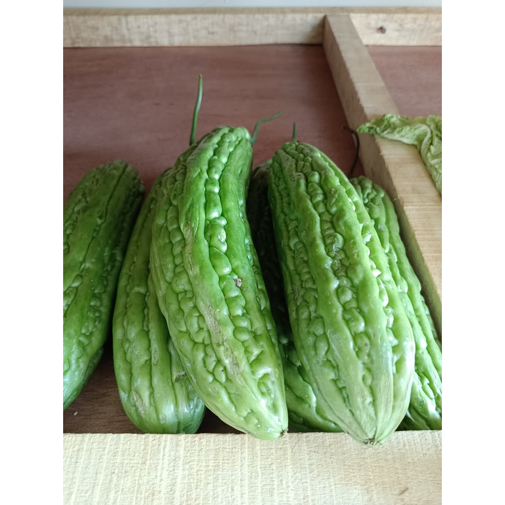 

Sayur Pare Hijau Segar 500 gr