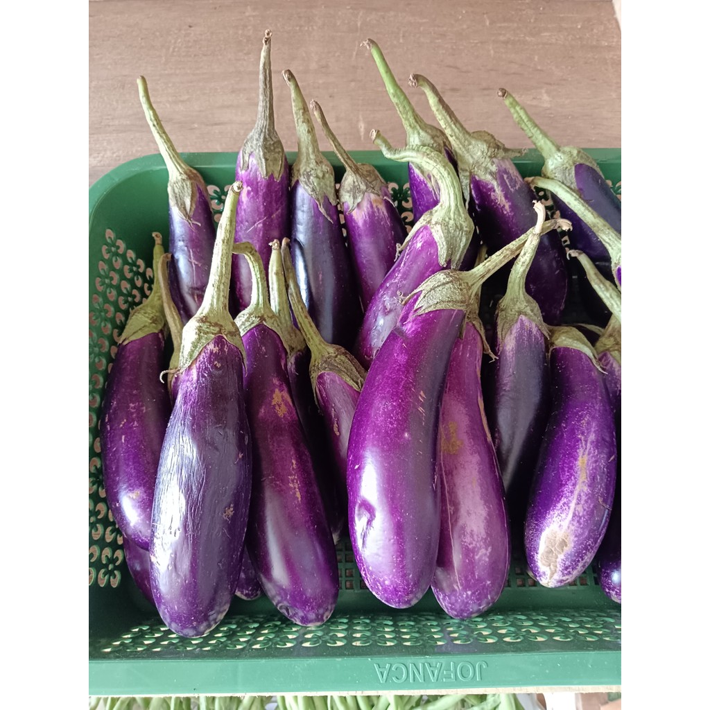 

Terong Ungu Segar 500 gr