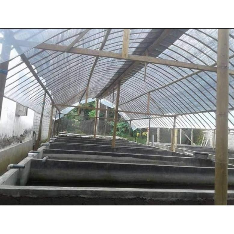 Plastik Anti UV 4 Meter 200 Micron 14% Roll (Ecer)