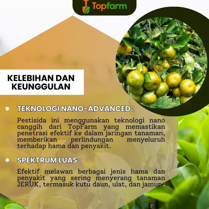 Obat Hama Daun Jeruk Nipis / Obat Ulat Daun Jeruk / Obat Lalat Buah Jeruk / Obat Hama Ulat Pohon Jer