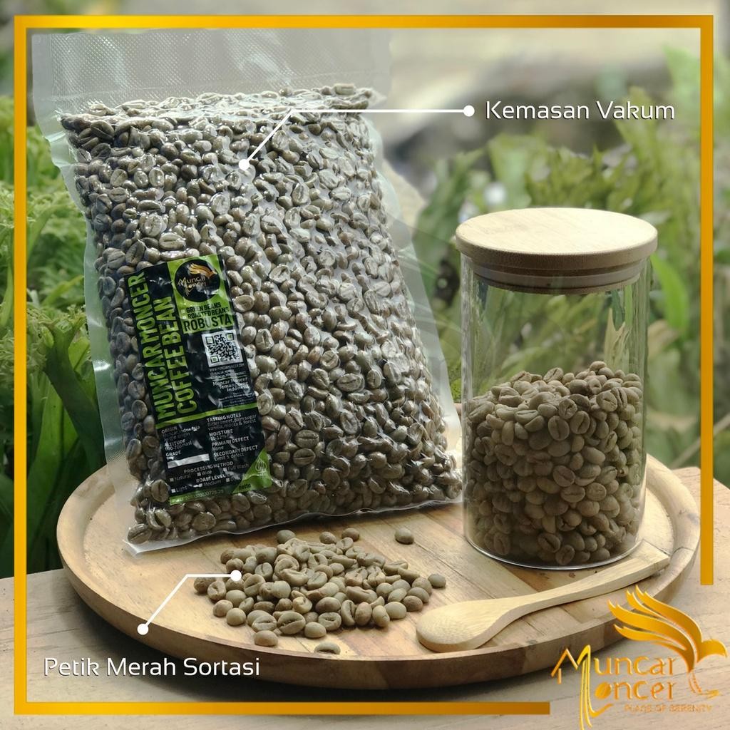 

Biji Kopi Green Bean Coffee Robusta Petik Merah Pilihan Termurah Best Quality 100% Original