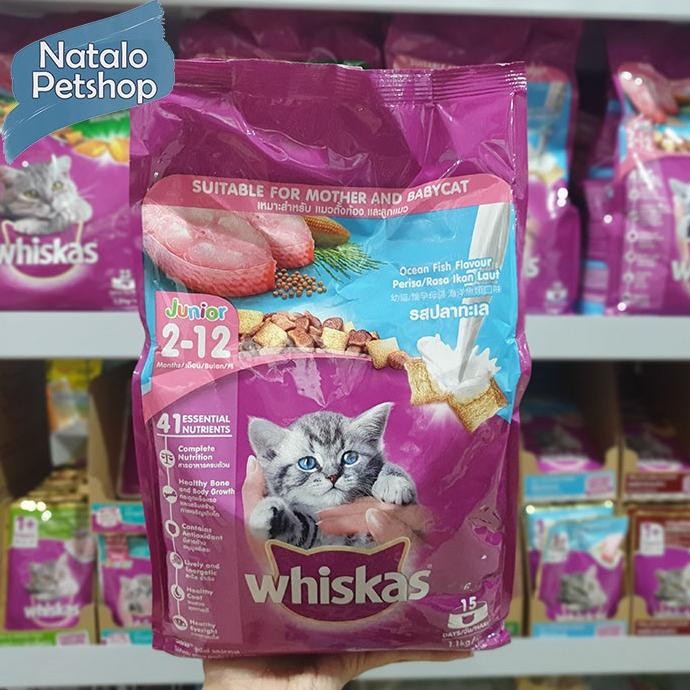 Whiskas Junior Ocean Fish 1.1KG / Dry Kitten Mother Baby Cat Food / Makanan Kering Kucing