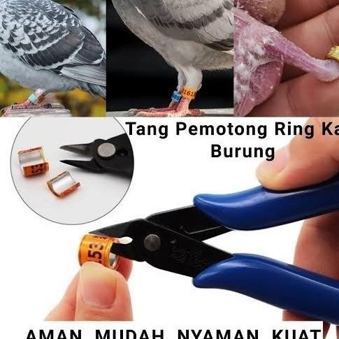 TANG ALAT POTONG RING KAKI BURUNG TANG POTONG RING KAKI BURUNG
