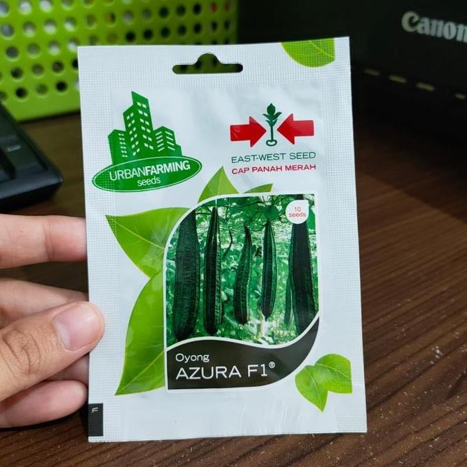 Benih Oyong Azura - Benih Gambas Azura - Bibit Gambas - Uf