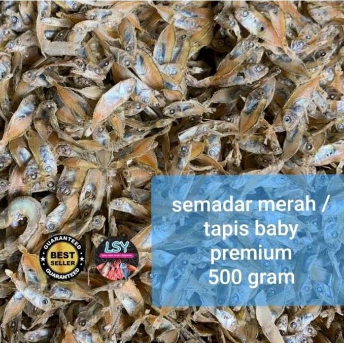 

Ikan Asin Semadar Merah / Tapis Baby Premium 500Gram