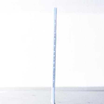 restock  Buku Kisah Seekor Camar Dan Kucing Yang Mengajarinya Terbang