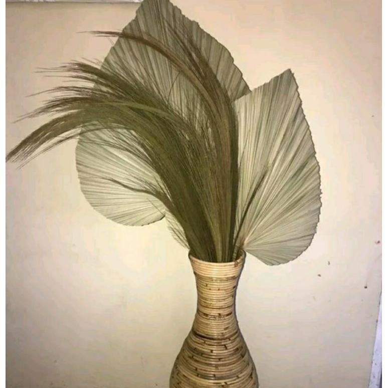 daun palem kering hijau