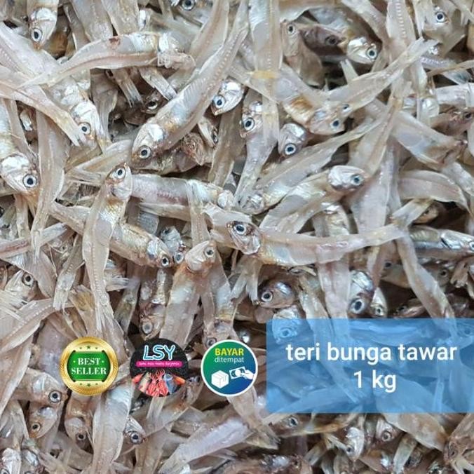

Teri Tawar Bunga Super 1 Kg