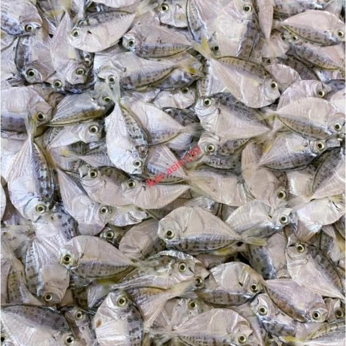 

Ikan Asin Petek Kecil / Halus 1Kg