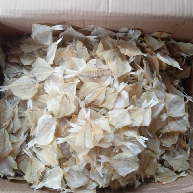 

Ikan Asin Kapasan Tawar 500 Gr