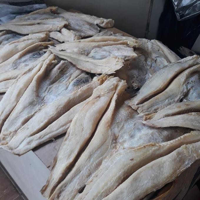 

Ikan Asin Jambal Roti 100 Gr Grade A Cap Toke Bagan Siapi Api