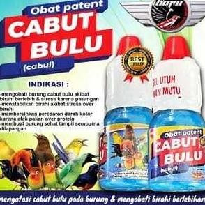 Termurah Cabul Cabut Bulu Tuntas Bmw Obat Paten Vitamin Mengobati Masalah Burung Ciak Bulu Cabut Bul