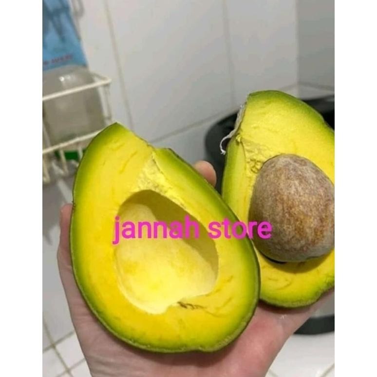 

Hot Alpukat Mentega Premium 1Kg Ga24