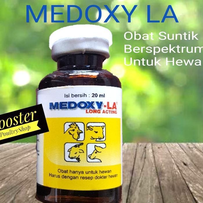 Medoxy-La Obat Berspektrum Luas Untuk Hewan Ternak Sapi Kambing Babi