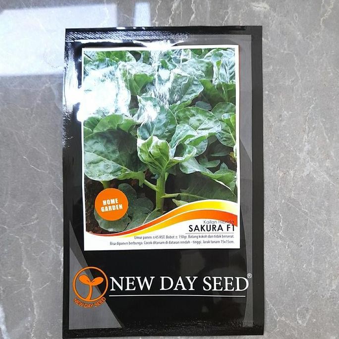 Promo Benih Kailan Sakura F1 NDS 10 gram COD