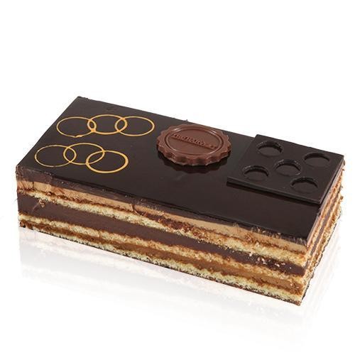 

The Harvest Classic Opera 10X20