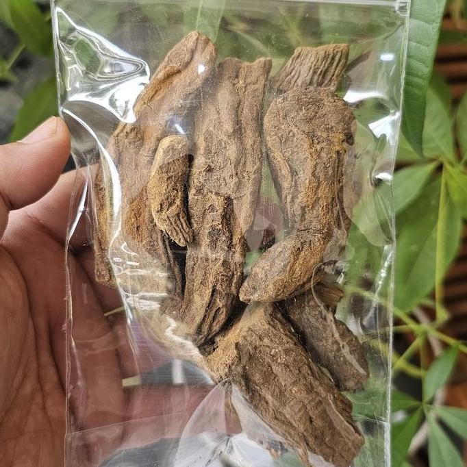 

Klembak / Kelembak Kering 100 gram