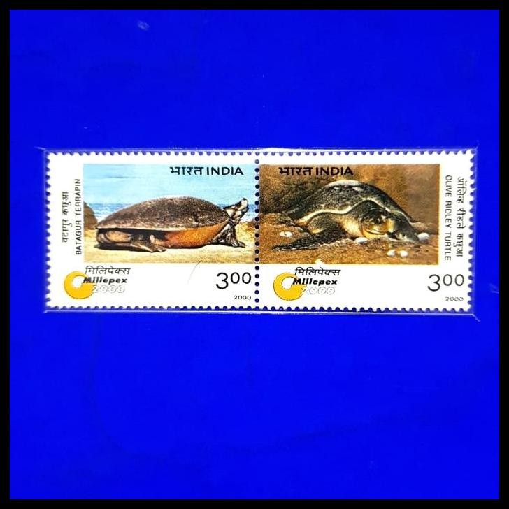 

DISKON PERANGKO/PRANGKO PENYU/TURTLE DARI INDIA !!!!!!