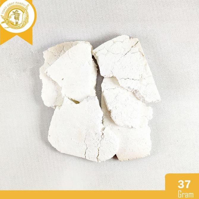 

FULING (37 GRAM) / BAI FU LING / SCIEROTIUM PORIAE COCOS