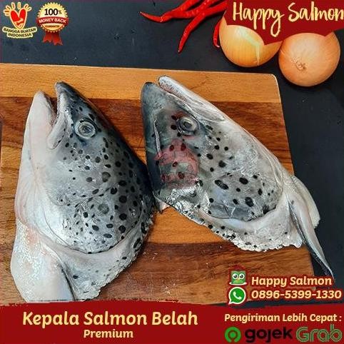 

Kepala Salmon Belah Segar Fresh 1 Pcs Termurah (Tanpa Insang)
