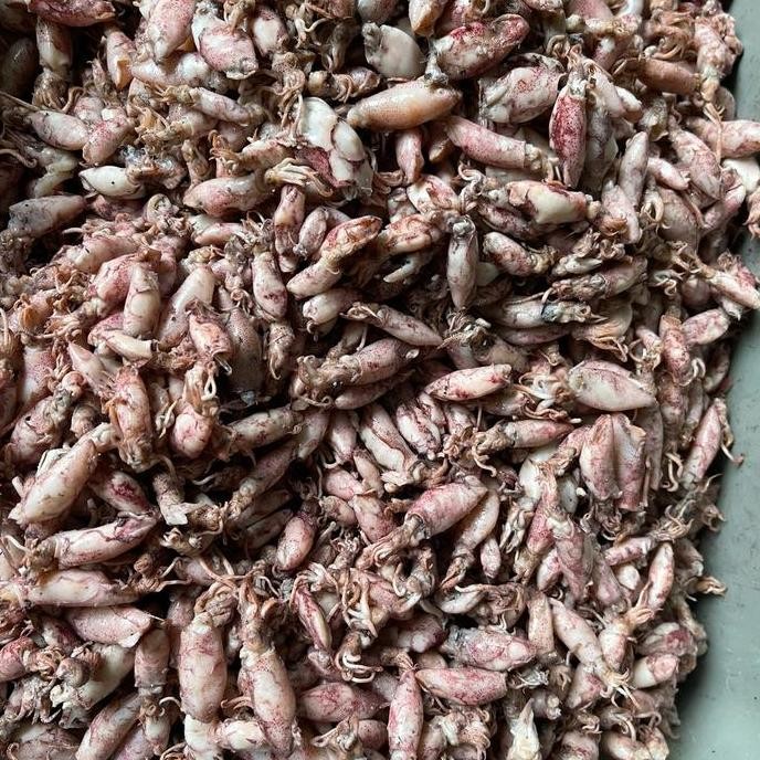 

Baby Cumi / Cumi Asin 500Gram