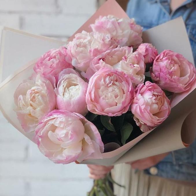 Peony flower/ bunga import asli/ fresh flower peony