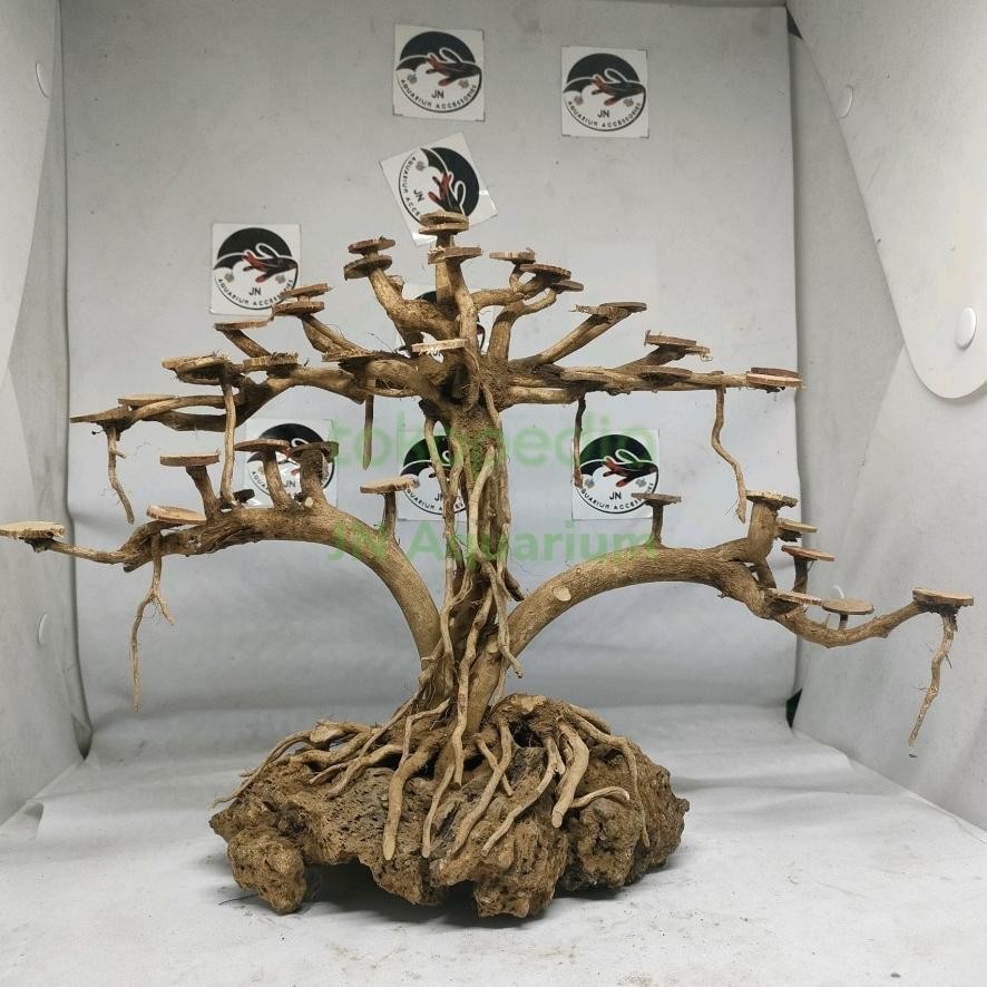 Tebing Akar Kayu Bonsai Beringin Double Hiasan Aquarium Aquascape